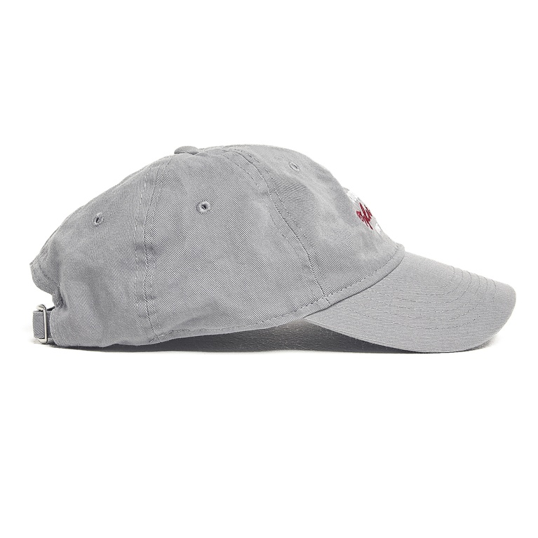 Cap "Dad Embroidery" Grey